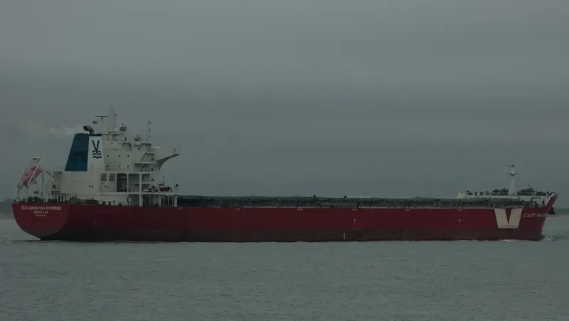 DEDALOS Bulk Carrier IMO 9487873 photo 3