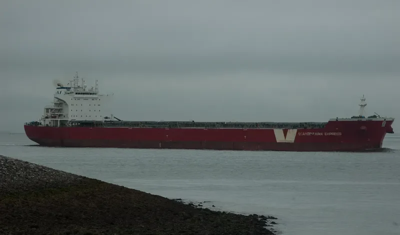 DEDALOS Bulk Carrier IMO 9487873 photo 4