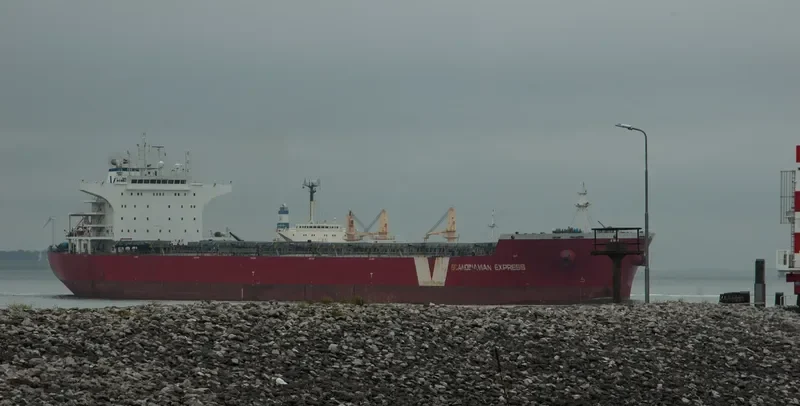DEDALOS Bulk Carrier IMO 9487873 photo 5