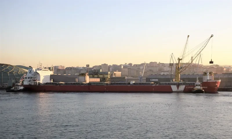 DEDALOS Bulk Carrier IMO 9487873 photo 6