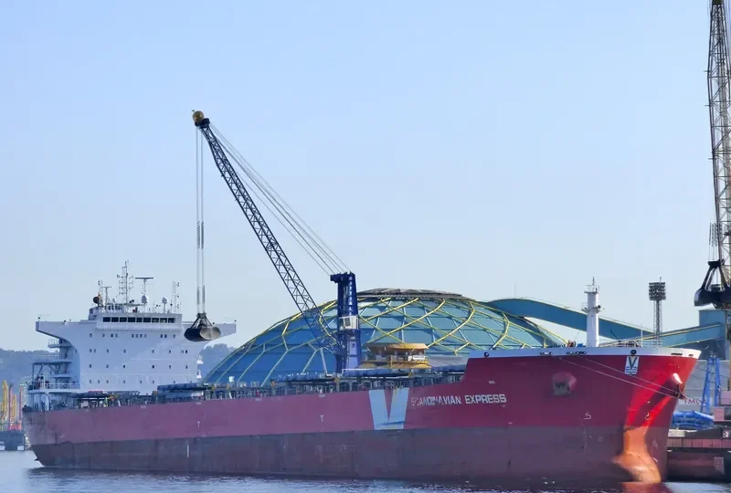 DEDALOS Bulk Carrier IMO 9487873 photo 7