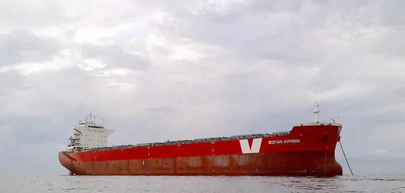BRICKFIELDER Bulk Carrier IMO 9487885 photo 2