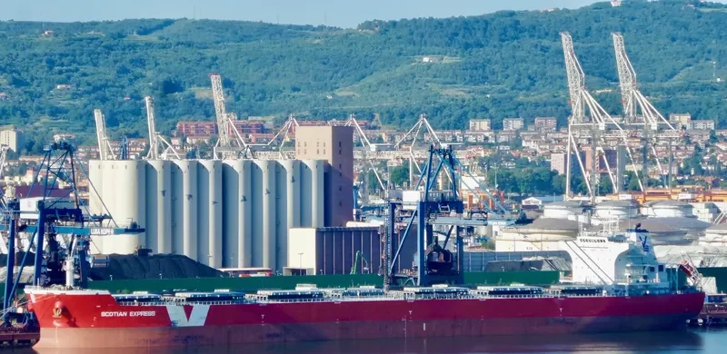 BRICKFIELDER Bulk Carrier IMO 9487885 photo 5