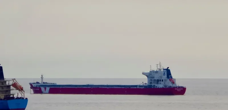 BRICKFIELDER Bulk Carrier IMO 9487885 photo 9