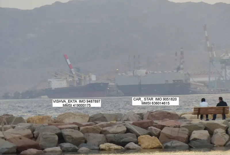 VISHVA EKTA Bulk Carrier IMO 9487897 photo 3