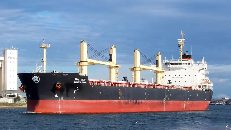 VISHVA EKTA Bulk Carrier IMO 9487897 photo 8