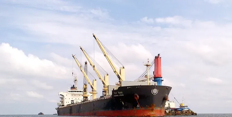 VISHVA VIKAS Bulk Carrier IMO 9487902 photo 2