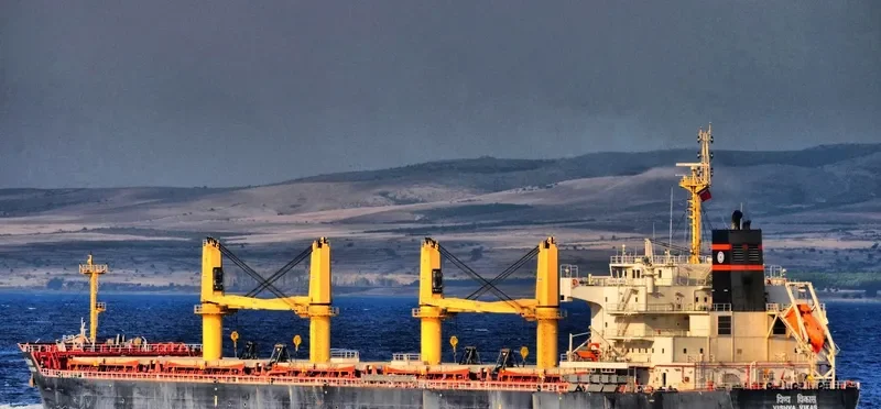VISHVA VIKAS Bulk Carrier IMO 9487902 photo 3