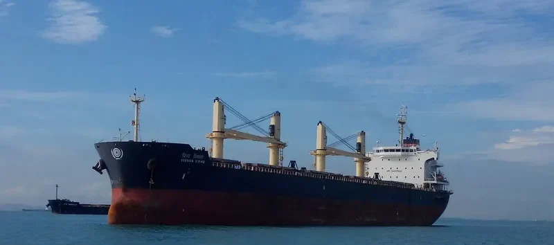 VISHVA VIKAS Bulk Carrier IMO 9487902 photo 6