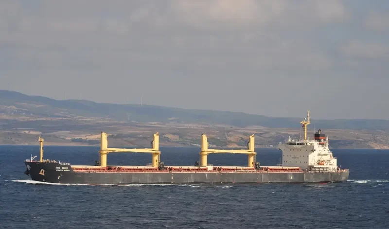 VISHVA VIKAS Bulk Carrier IMO 9487902 photo 7