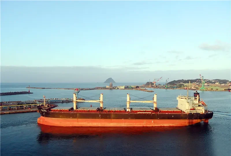 VISHVA VIKAS Bulk Carrier IMO 9487902 photo 9
