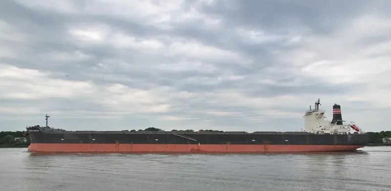 FRONTIER HARVEST Bulk Carrier IMO 9487976 photo 4
