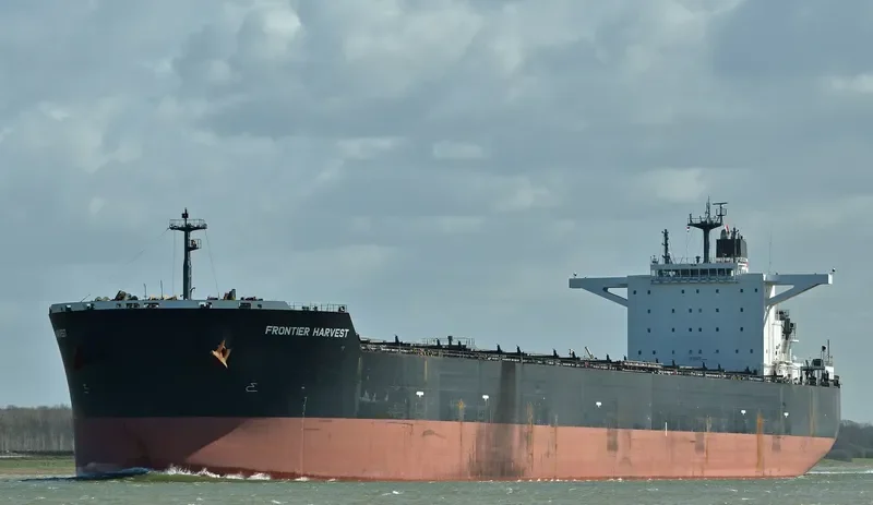FRONTIER HARVEST Bulk Carrier IMO 9487976 photo 7