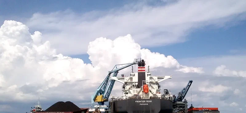 FRONTIER ROSE Bulk Carrier IMO 9487988