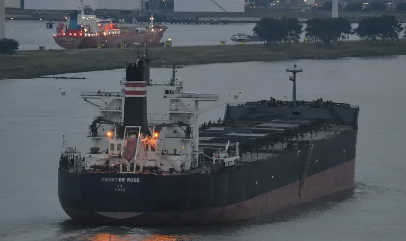 FRONTIER ROSE Bulk Carrier IMO 9487988 photo 2