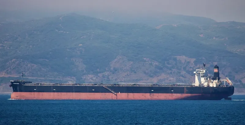 FRONTIER ROSE Bulk Carrier IMO 9487988 photo 3