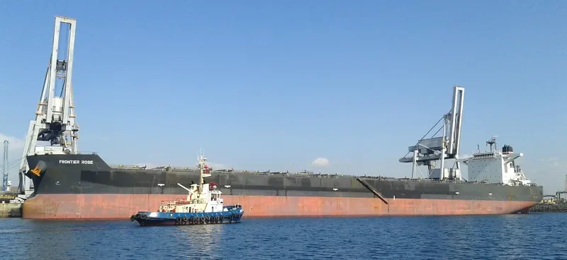 FRONTIER ROSE Bulk Carrier IMO 9487988 photo 4