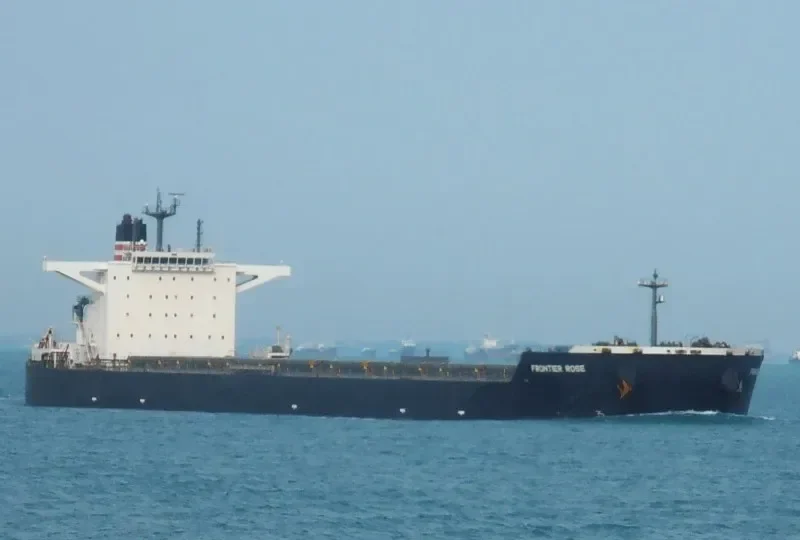 FRONTIER ROSE Bulk Carrier IMO 9487988 photo 5