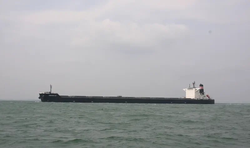 FRONTIER SKY Bulk Carrier IMO 9488009 photo 6