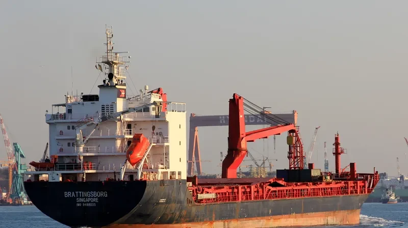 BRATTINGSBORG Container Ship IMO 9488035 photo 9