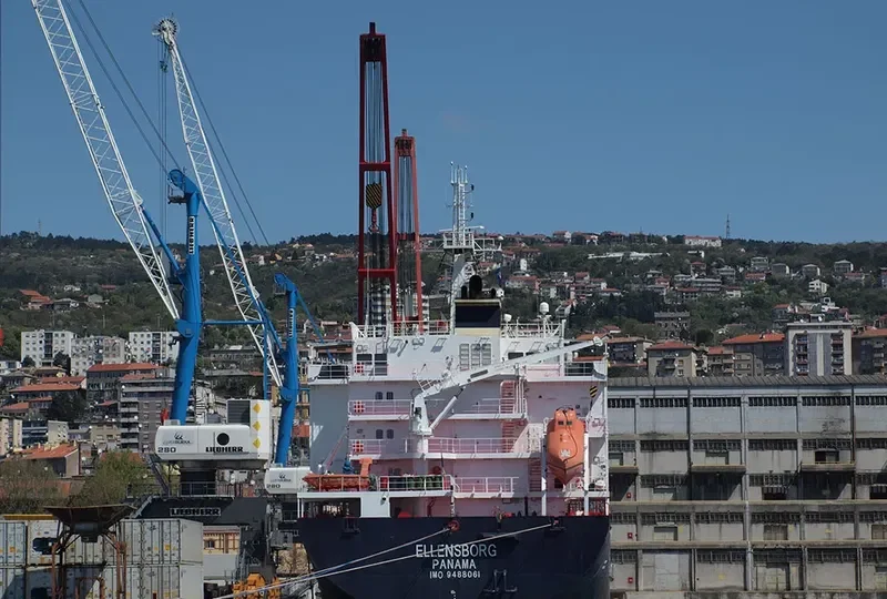 ELLENSBORG Container Ship IMO 9488061 photo 7