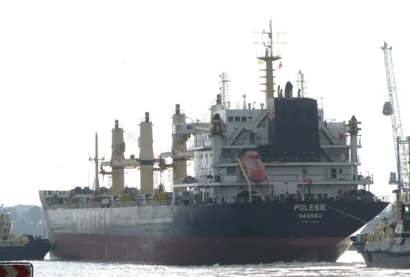 POLESIE Bulk Carrier IMO 9488097 photo 8
