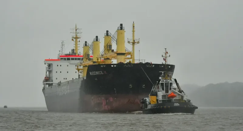 WADOWICE II Bulk Carrier IMO 9488102 photo 6