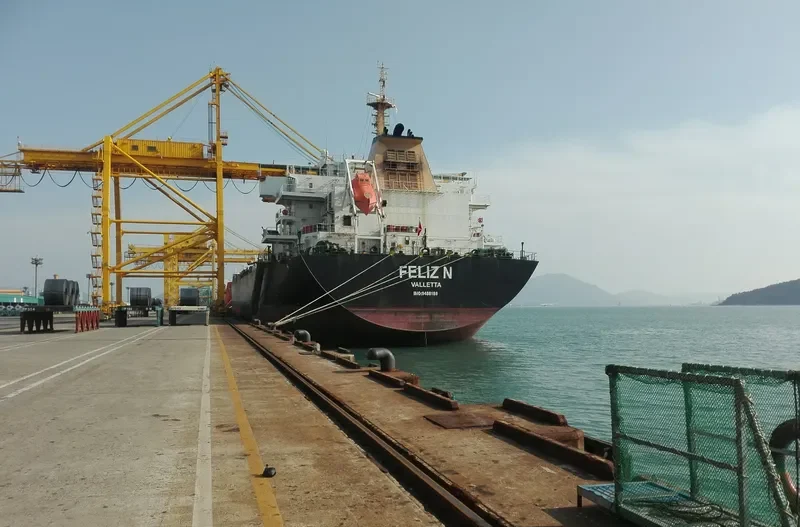 NEWSEAS JASPER Bulk Carrier IMO 9488188