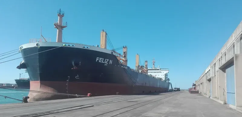 NEWSEAS JASPER Bulk Carrier IMO 9488188 photo 4