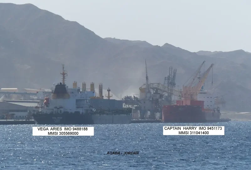 NEWSEAS JASPER Bulk Carrier IMO 9488188 photo 7