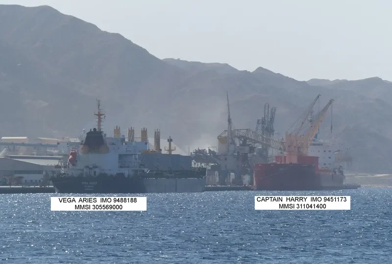 NEWSEAS JASPER Bulk Carrier IMO 9488188 photo 8