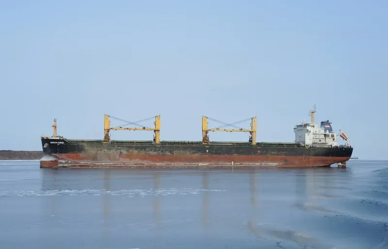 NEWSEAS JASPER Bulk Carrier IMO 9488188 photo 9