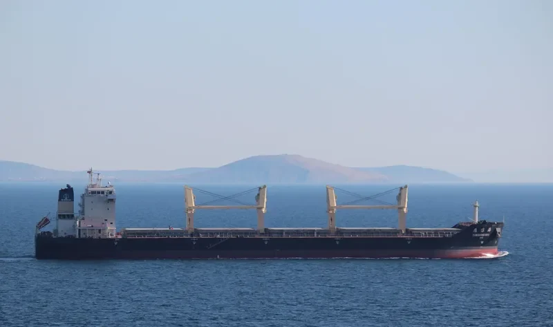 YAN DANG HAI Bulk Carrier IMO 9488229 photo 5