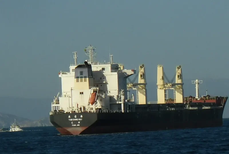 YAN DANG HAI Bulk Carrier IMO 9488229 photo 8