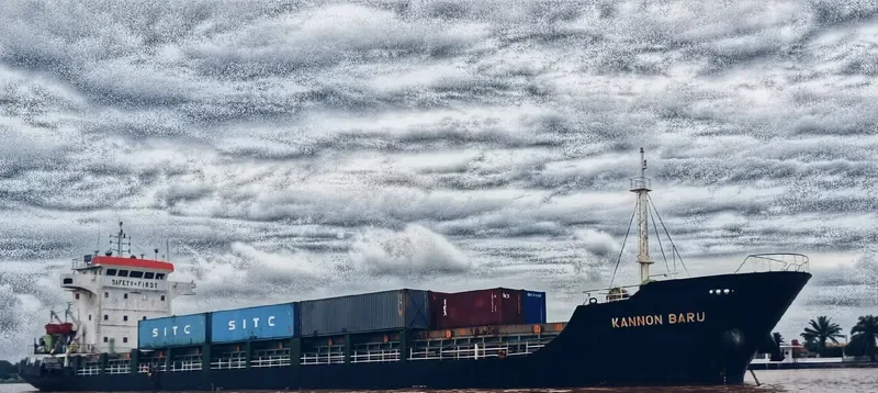 SELARAS MAS General Cargo IMO 9488267