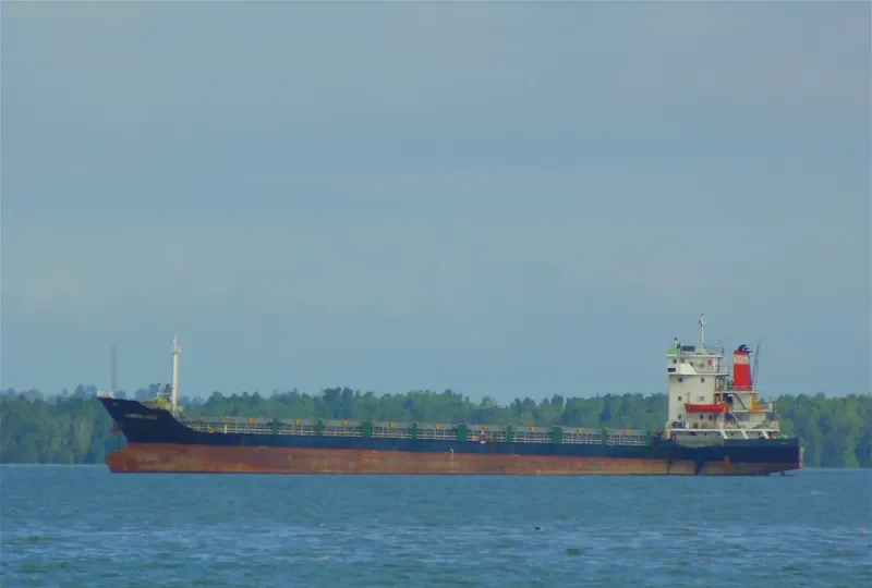 SELARAS MAS General Cargo IMO 9488267 photo 2