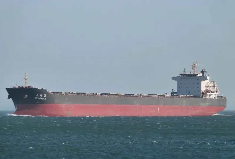 WEN ZHU HAI Bulk Carrier IMO 9488475 photo 3