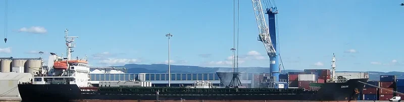 KAAN DEVAL Bulk Carrier IMO 9488499
