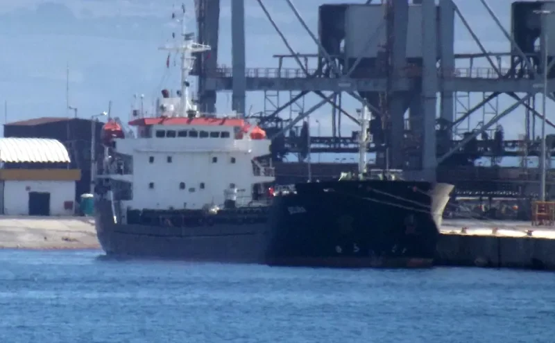 KAAN DEVAL Bulk Carrier IMO 9488499 photo 7