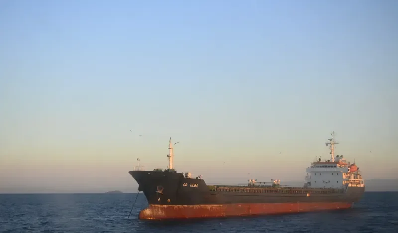KAAN DEVAL Bulk Carrier IMO 9488499 photo 8