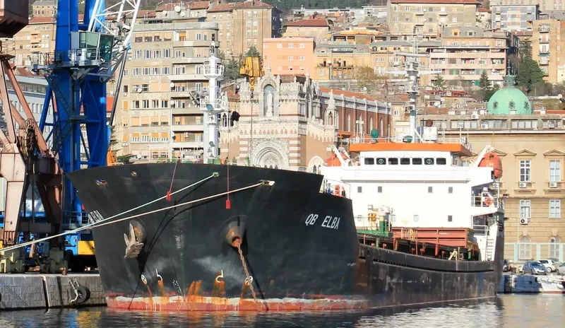 KAAN DEVAL Bulk Carrier IMO 9488499 photo 10