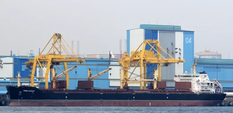 VINCENT GEMMA Bulk Carrier IMO 9488566 photo 3