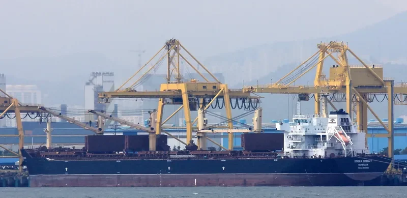 VINCENT GEMMA Bulk Carrier IMO 9488566 photo 4