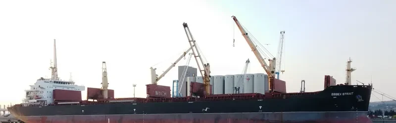 VINCENT GEMMA Bulk Carrier IMO 9488566 photo 5