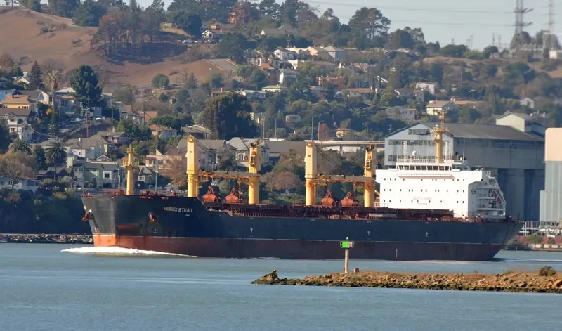VINCENT GEMMA Bulk Carrier IMO 9488566 photo 7