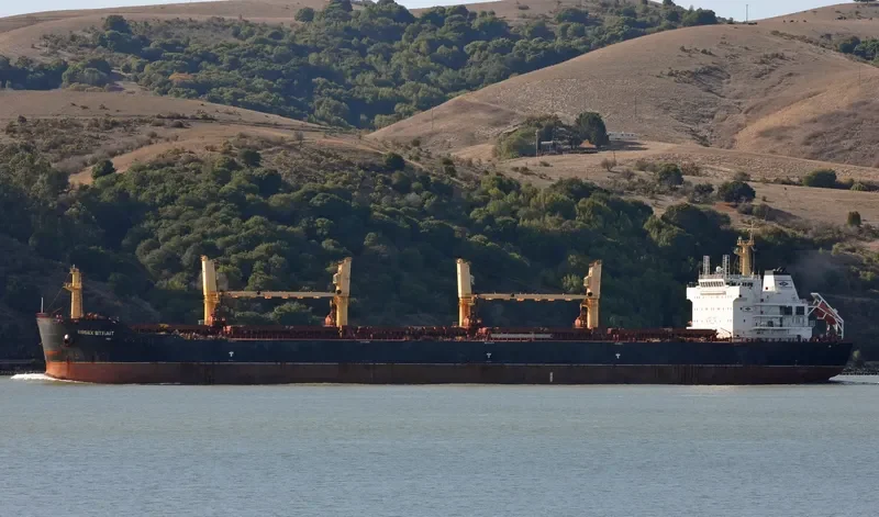 VINCENT GEMMA Bulk Carrier IMO 9488566 photo 8