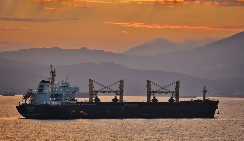 VINCENT GEMMA Bulk Carrier IMO 9488566 photo 9