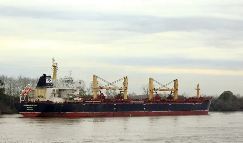 SAFESEA ANYA Bulk Carrier IMO 9488578