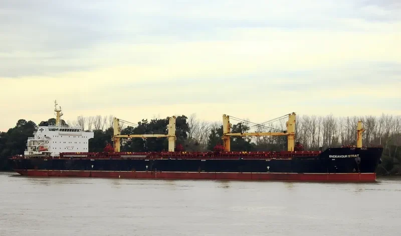 SAFESEA ANYA Bulk Carrier IMO 9488578 photo 2