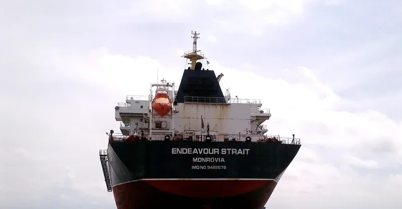 SAFESEA ANYA Bulk Carrier IMO 9488578 photo 5